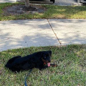 Meet your Posher, Derrick